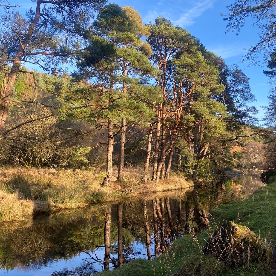 What charity wants bedding? Where can I donate my old bedding